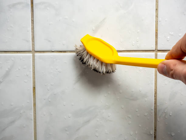Best Affordable Mold Removal  in Destrehan, LA