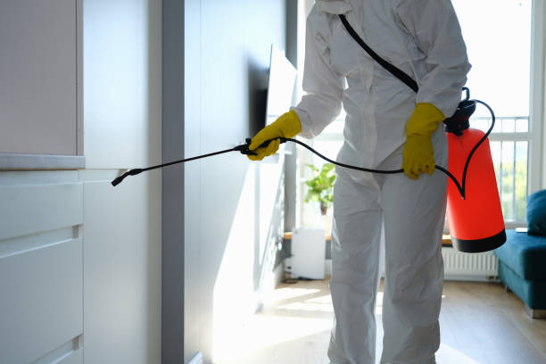 Best Office Mold Removal Services  in Destrehan, LA