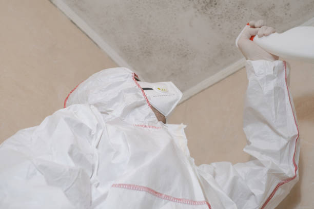 Best Certified Mold Removal  in Destrehan, LA