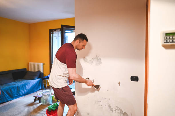 Best Mold Testing  in Destrehan, LA