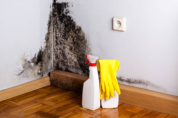 Crawl Space Mold Removal in Destrehan, LA